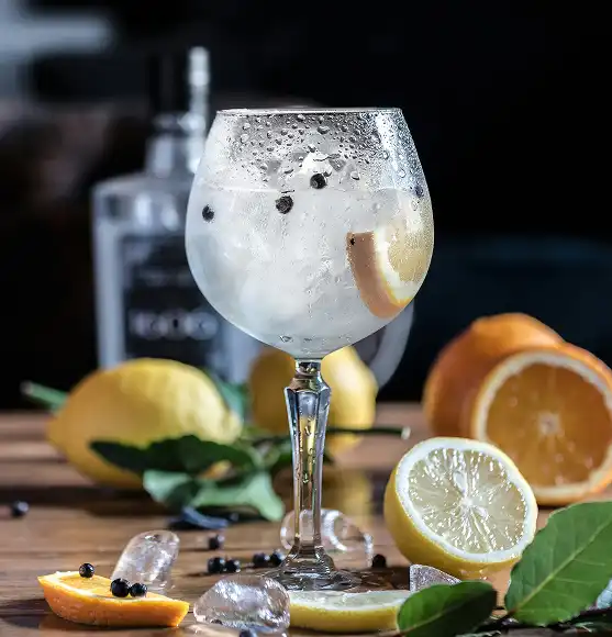 čaša gin tonika sa limunom. oko nje cijeli i izrezani limuni i naranče