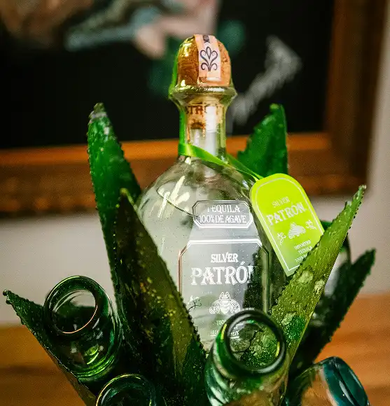 Boca Patron Silver tekile između vrhova boca tequile i agave