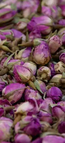 suhe ružice za ukras i garnituru gin tonika