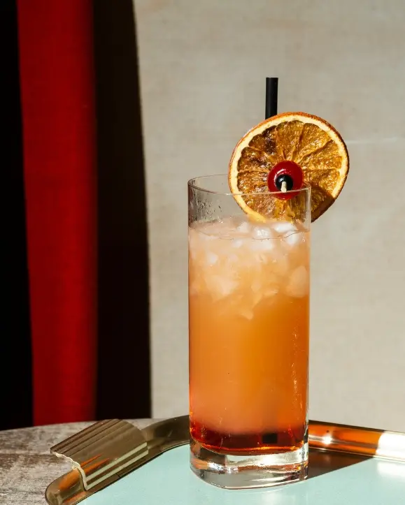 čaša narančastog koktela ukrašena suhom narančom i slamkom