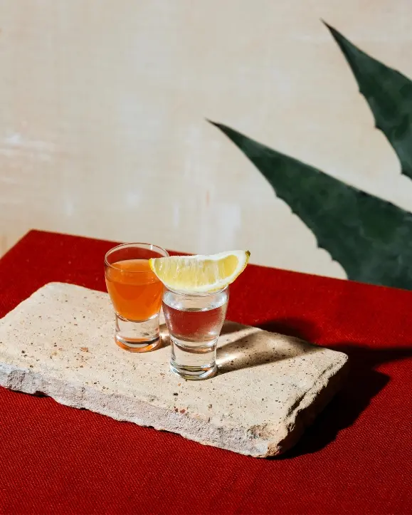dvije čašice tekile, na jednoj je kriška limuna kao dekoracija. tequila shots