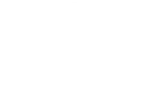 turinela logo