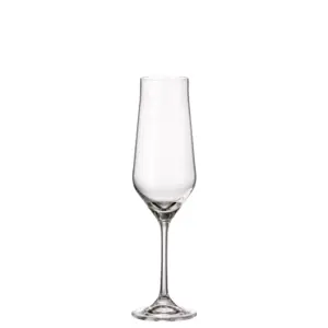 Bohemia Royal Crystal Lida flute čaša za šampanjac 220 ml od prozirnog kristalnog stakla vitkog oblika za posluživanje šampanjca i pjenušavih vina