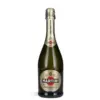 Martini Prosecco D.O.C. 0,75 L u elegantnoj boci pjenušca s prepoznatljivom etiketom, talijanski Prosecco od sorte Glera s finim i postojanim perlanjem.